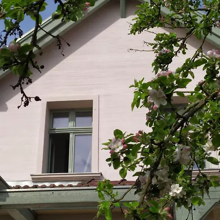 Butterfeld * Himmelpfort