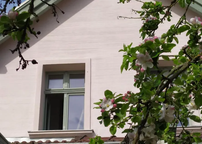 Butterfeld * Himmelpfort